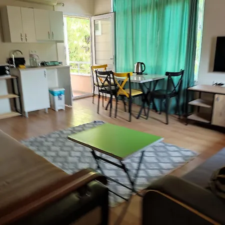 Garden Prizma * 凯梅尔